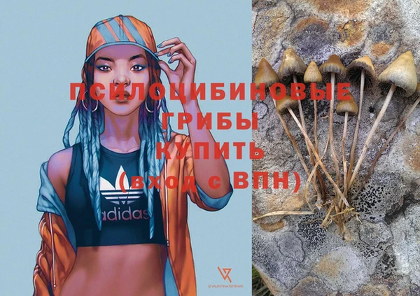 Альфа ПВП Богданович